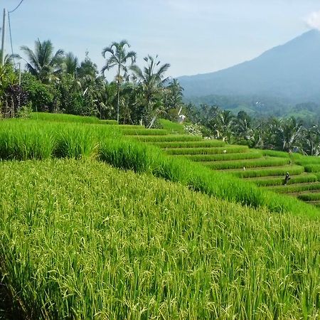 Zen Rooms Badung Nyangnyang Sari Kuta  Ngoại thất bức ảnh