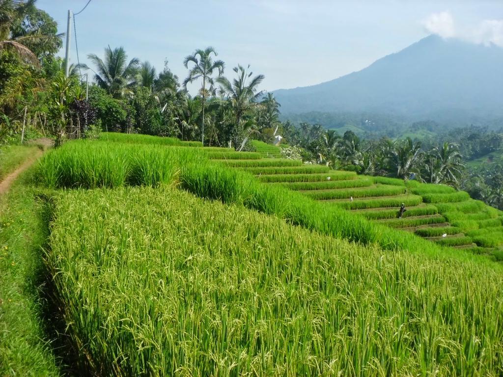Zen Rooms Badung Nyangnyang Sari Kuta  Ngoại thất bức ảnh